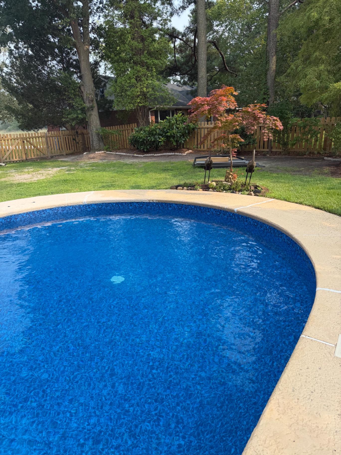 Pool deck after pressure washing